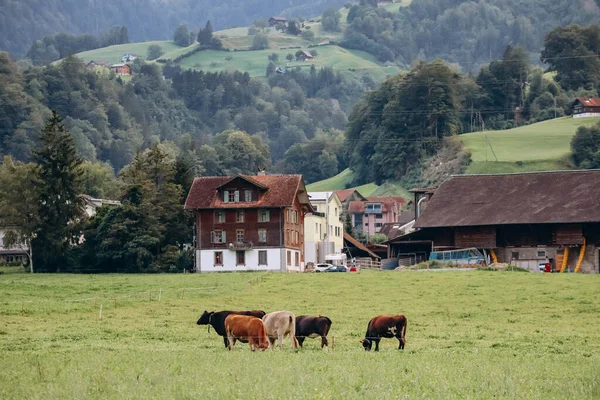 Malebná Krajina Alpnachu Švýcarsko — Stock fotografie