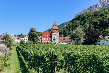 Das Rote Haus, Vaduz 'un sembolü, çünkü ortaçağdaki en eski ev..