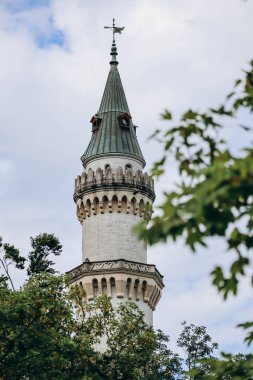 Güney Almanya, Bavyera 'daki ünlü Neuschwanstein Kalesi' nin yakın görüntüsü