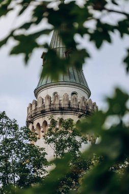 Güney Almanya, Bavyera 'daki ünlü Neuschwanstein Kalesi' nin yakın görüntüsü