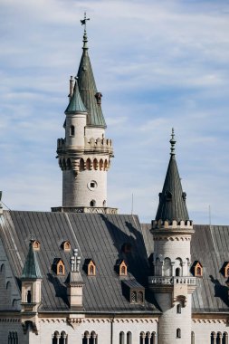 Güney Almanya, Bavyera 'daki ünlü Neuschwanstein Kalesi' nin yakın görüntüsü