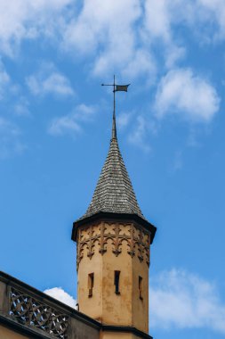 Güney Almanya, Bavyera 'daki ünlü Hohenschwangau Kalesi' nin yakınında.