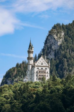 Güney Almanya, Bavyera 'daki ünlü Neuschwanstein Şatosu