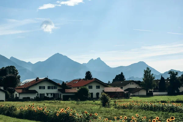 Γραφικό Τοπίο Και Όμορφα Σπίτια Schwangau Βαυαρία Νότια Γερμανία — Φωτογραφία Αρχείου