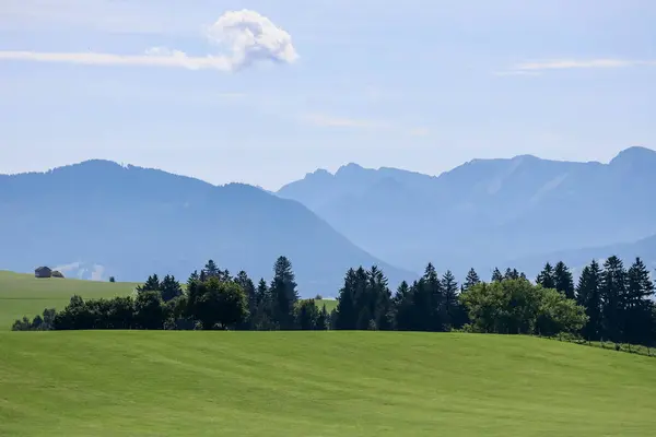 Krásné Krajiny Bavorsku Stromy Zelené Louky Pole Alpy Pozadí — Stock fotografie