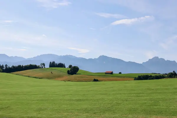 Piękne Krajobrazy Bawarii Farma Zielone Łąki Pola Alpy Tle — Zdjęcie stockowe