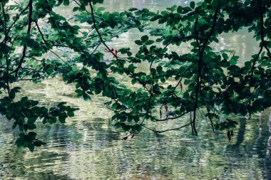 Almanya, Bavyera 'daki Alatsee Gölü manzarası