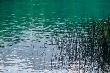 Almanya, Bavyera 'daki Alatsee Gölü manzarası