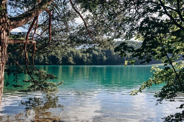 バイエルン湖の眺め — ストック写真