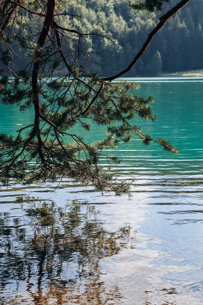 Widok Jezioro Alatsee Bawarii Niemcy — Zdjęcie stockowe