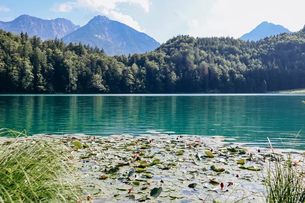 Veduta Del Lago Alatsee Baviera Germania — Foto Stock