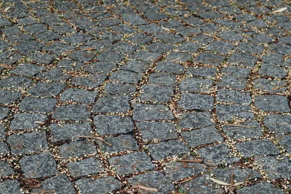 Pavimento Antigo Fussen Com Sementes Árvores Caindo Chão — Fotografia de Stock