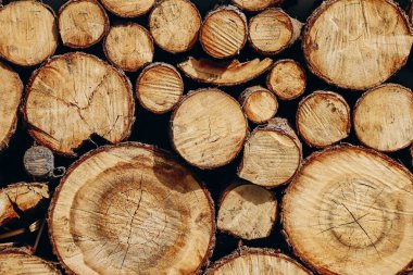 Avusturya 'nın Fulpmes köyünde kış için hazırlanmış keresteler.