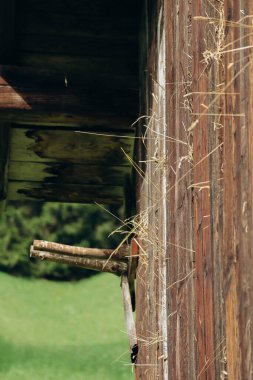 Avusturya 'nın Fulpmes kasabasındaki bir çiftlikte, güneşin altındaki bir ahırdan çıkan saman.