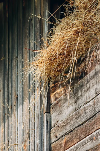 Hay Sticking Out Barn Sun Farm Village Fulpmes Austria — Stock Photo, Image