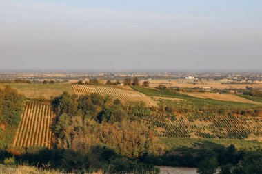 Codevilla yakınlarındaki tarlalar, İtalyan bölgesi Lombardy 'deki Pavia ilinde bir komün.