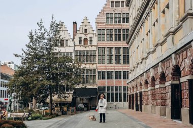Antwerp, Belçika - 22 Ekim 2023: Antwerp 'in tarihi merkezi ve güzel Flaman mimarisi