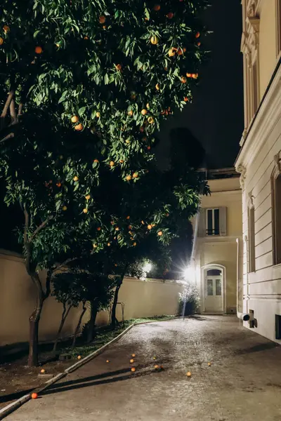 Smuk Gårdhave Med Mandarintræer Rom Natten - Stock-foto