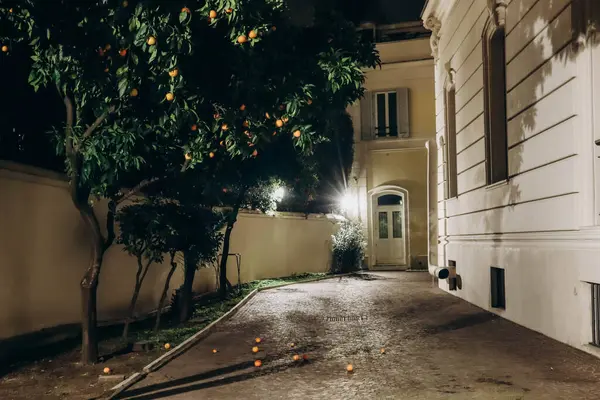 Smuk Gårdhave Med Mandarintræer Rom Natten - Stock-foto