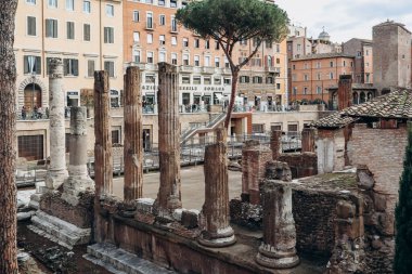 Roma, İtalya - 27.12.2023: Largo di Torre Arjantin - Roma, İtalya 'da dört Roma Cumhuriyetçi tapınağı ve Pompey Tiyatrosu' nun kalıntılarıyla geniş bir açık alan.