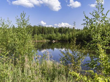 Kuzeybatı Rusya 'daki Leningrad bölgesindeki Vsevolozhsk Gölleri' nin güzel manzarası