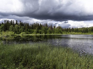 Kuzeybatı Rusya 'daki Leningrad bölgesindeki Vsevolozhsk Gölleri' nin güzel manzarası