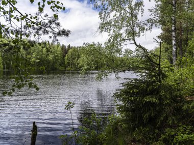 Kuzeybatı Rusya 'daki Leningrad bölgesindeki Vsevolozhsk Gölleri' nin güzel manzarası