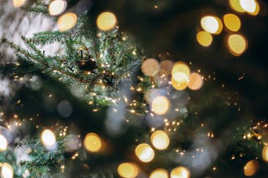 Floransa 'nın merkezindeki bir Noel ağacının ışıklarına yakın çekim