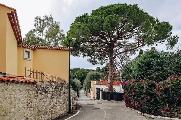 Fransız Rivierası 'ndaki güzel Saint Jean Cap Ferrat Yarımadası manzarası