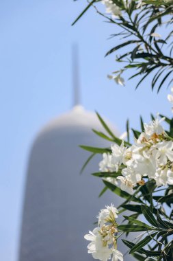 Doha, Katar - 29 Nisan 2024: Batı Körfezi bölgesi, Doha 'da gökdelenleri olan iş bölgesi