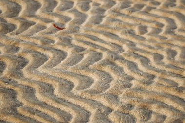 Kum Çölü Katar 'da, ülkenin güney kesiminde.