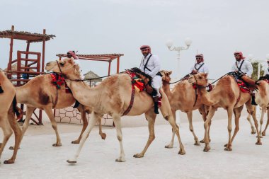 Doha, Katar - 1 Mayıs 2024: Katar, Doha 'da Atlı Polis