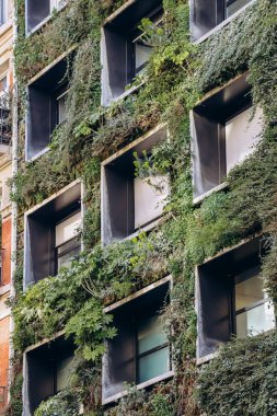 Ekolojik cephe, Paris 'in 16. semtinde yeşil bitkilerle kaplıydı.