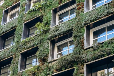 Ekolojik cephe, Paris 'in 16. semtinde yeşil bitkilerle kaplıydı.