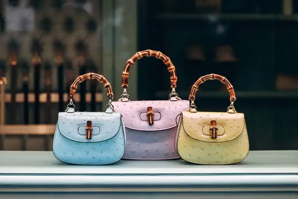 Stock image Cannes, France - 20 April 2024: The legendary Gucci Bamboo bags in a boutique window in Cannes