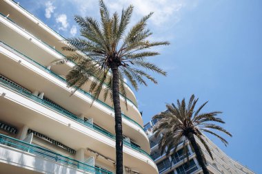 Nice, Fransa - 25 Mayıs 2024: Palmiye ağaçları ve Nice 'teki Gezinti Güvertesi' nin ön cephesi