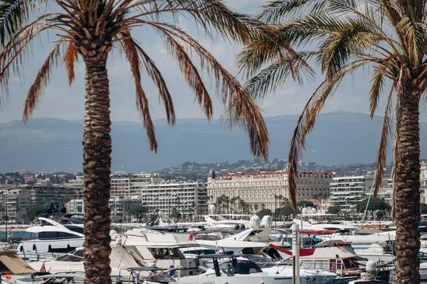 Cannes, Fransa - 1 Ağustos 2024: Cannes, Croisette 'deki ünlü Carlton Oteli