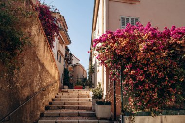 Cannes, Fransa - 1 Ağustos 2024: Fransız Rivierası üzerinde Cannes 'da eski bir kasaba