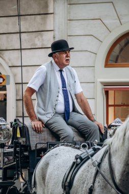 Viyana, Avusturya - 5 Ağustos 2024: Viyana 'nın merkezinde bir faytoncu taşıyan at arabası