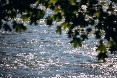 Akçaağaç Tuna Nehri 'nin üzerinden geçiyor.