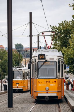 Budapeşte, Macaristan - 10 Ağustos 2024: Budapeşte şehir merkezinde geleneksel sarı tramvay