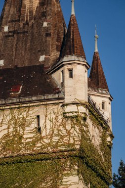 Vajdahunyad Şatosu, Budapeşte, Macaristan 'da şehir parkında yer alan romantik şatolardan biri.