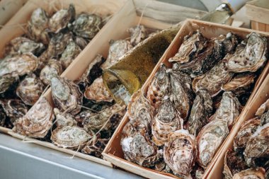 Fransız Rivierası 'nda, Menton' daki markette istiridye yakın plan.