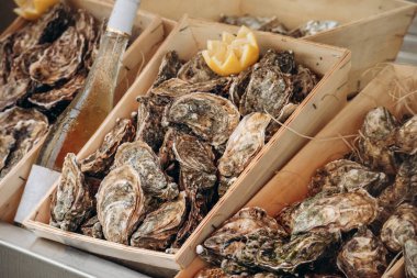 Fransız Rivierası 'nda, Menton' daki markette istiridye yakın plan.