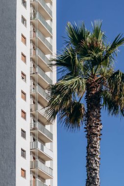 Constructivist building in Toulon on the seafront clipart