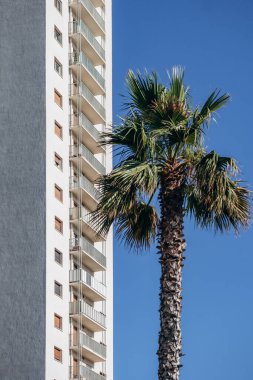 Deniz kenarındaki Toulon 'da inşaat işçisi.