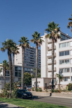 Toulon, Fransa - 10 Temmuz 2024: Toulon 'da deniz kenarında yapıcı binalar