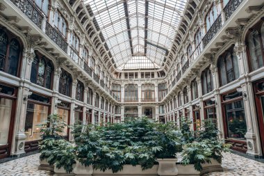 Torino, İtalya - 6 Ekim 2024: Galleria Subalpina, Torino 'nun tarihi merkezinde bulunan ikonik tarihi bir bina.