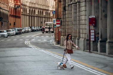 Bologna, İtalya - 6 Ekim 2024: Via Farini (Farini Caddesi) Bologna 'nın merkezinde