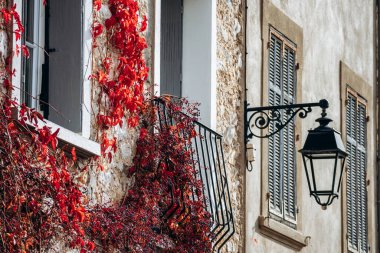 Roquebrussanne, Fransa - 10 Kasım 2024: La Roquebrussanne, Fransa 'nın güneydoğusundaki Provence-Alpes-Cote d' Azur bölgesinde Var departmanında bir komün..